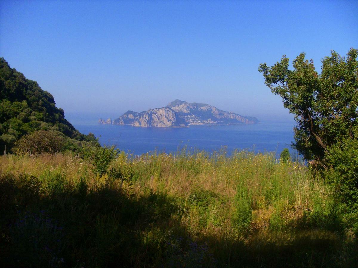 Il Paradiso Degli Dei Appartement Agerola Buitenkant foto