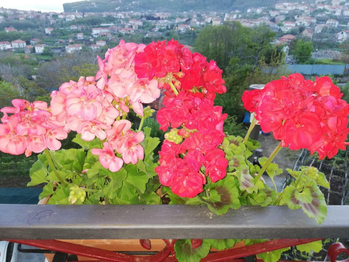 Il Paradiso Degli Dei Appartement Agerola Buitenkant foto