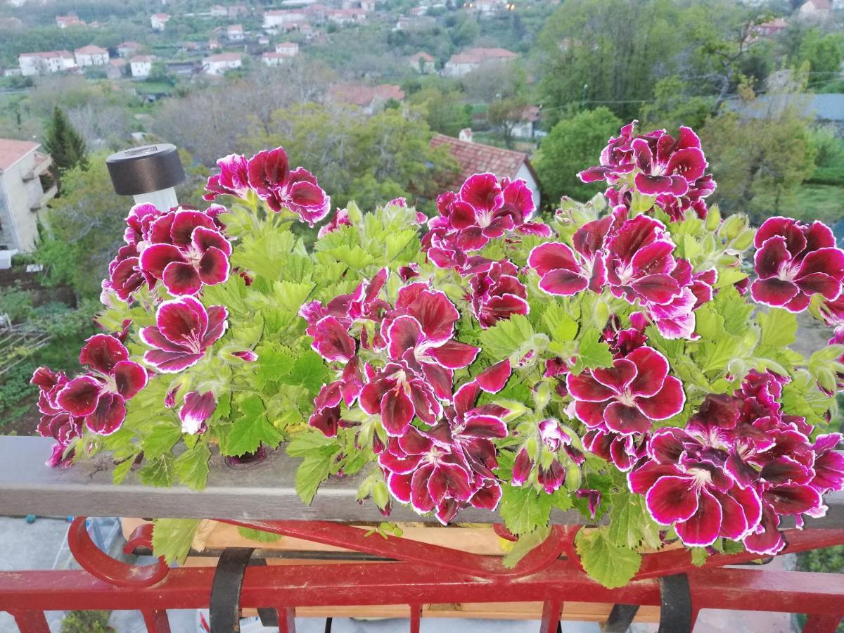 Il Paradiso Degli Dei Appartement Agerola Buitenkant foto